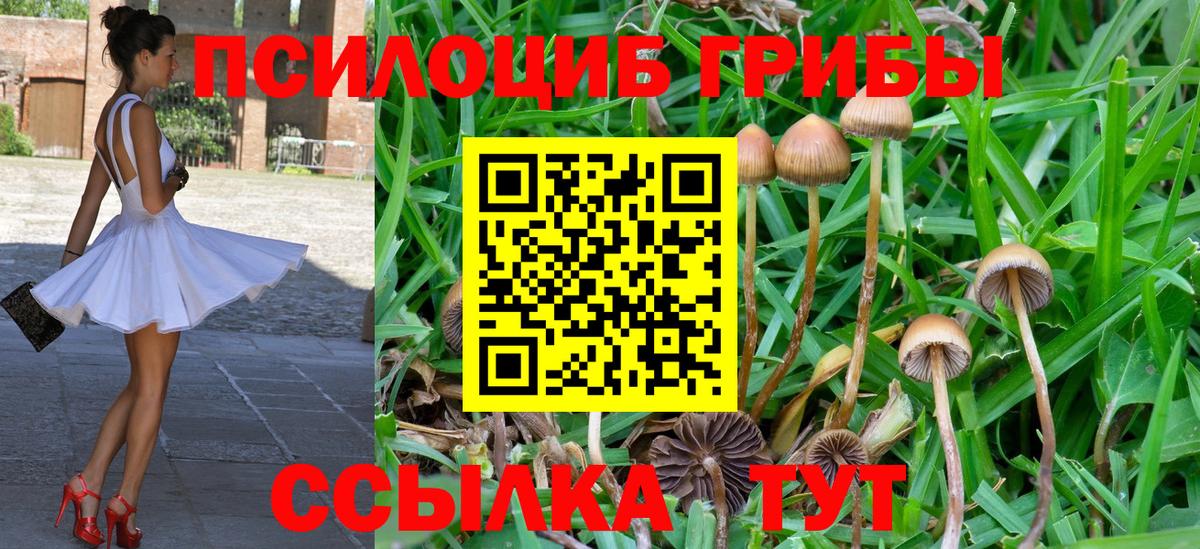 Галлюциногенные грибы Cubensis Дюртюли